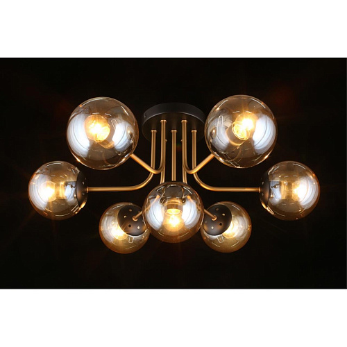 Люстра потолочная Aployt Ewka APL.906.07.07 Люстра потолочная Aployt Ewka APL.906.07.07