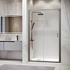 Картинка анонса товара «душевая дверь rgw passage pa-14gr 1700 мм easy clean серый 41081417-110»