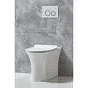 Картинка анонса товара «унитаз напольный belbagno ancona bb1224cbr-p без сиденья»