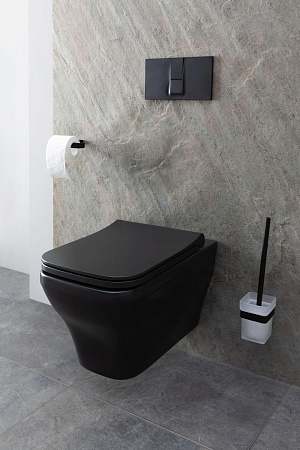 Унитаз подвесной Allen Brau Infinity 4.21011.31 с крышкой, черный матовый