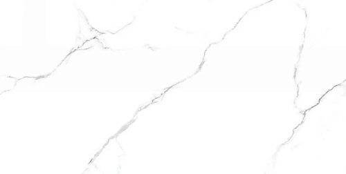 Керамогранит Neodom Ambassador Mckinley Glossy 60x120 CV20222 Керамогранит Neodom Ambassador Mckinley Glossy 60x120 CV20222