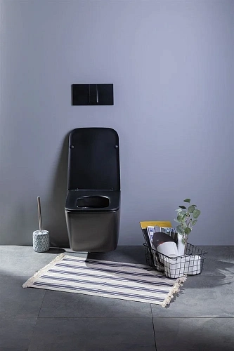 Унитаз подвесной Aquanet Rimless Tavr-W BL-103N-WHT black черный матовый TAVR-W BW с сиденьем Унитаз подвесной Aquanet Rimless Tavr-W BL-103N-WHT black черный матовый TAVR-W BW с сиденьем