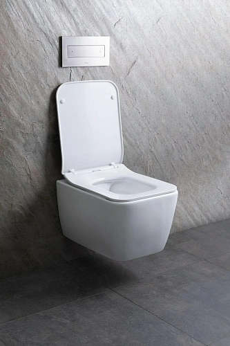 Унитаз подвесной Allen Brau Liberty 4.33007.21 с крышкой, белый матовый Унитаз подвесной Allen Brau Liberty 4.33007.21 с крышкой, белый матовый