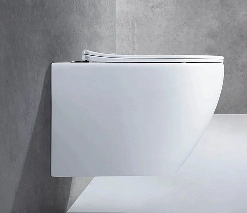 Унитаз подвесной CeramaLux 2196 -1 белый с крышкой микролифт Унитаз подвесной CeramaLux 2196 -1 белый с крышкой микролифт