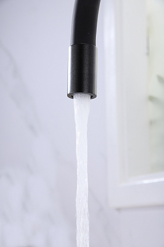 Смеситель для кухни Paulmark SALIX черный Sa213419-BLM Смеситель для кухни Paulmark SALIX черный Sa213419-BLM