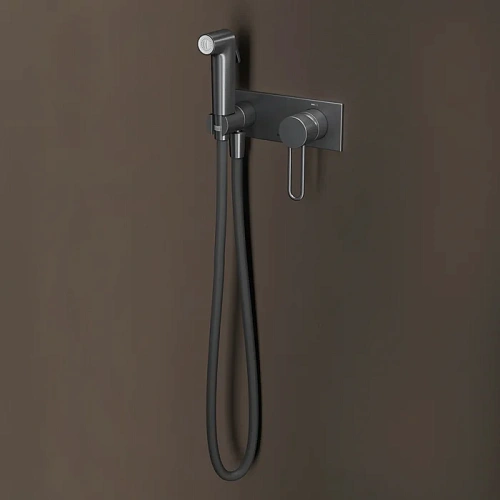 Гигиенический душ IDDIS Duna (DUNGMV0i08) графит матовый Гигиенический душ IDDIS Duna (DUNGMV0i08) графит матовый