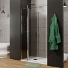 Душевая дверь Allen Brau Priority 120 тонированное, хром 3.31007.00G Душевая дверь Allen Brau Priority 120 тонированное, хром 3.31007.00G