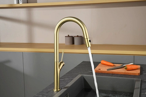 Смеситель для кухни AQUAme Cucina AQM9905BG с выдвижным изливом, с подключением к фильтру с питьевой водой, золото шлифованное Смеситель для кухни AQUAme Cucina AQM9905BG с выдвижным изливом, с подключением к фильтру с питьевой водой, золото шлифованное