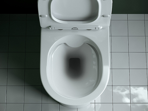 Чаша напольного унитаза Ceramica Nova STAR Rimless CN1904-B белый с сиденьем Чаша напольного унитаза Ceramica Nova STAR Rimless CN1904-B белый с сиденьем