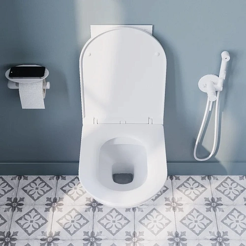 Унитаз подвесной IDDIS Zodiac безободковый ZDCRDSEi25 Унитаз подвесной IDDIS Zodiac безободковый ZDCRDSEi25