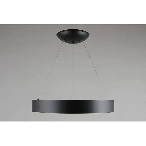 Люстра подвесная Aployt Michell APL.052.13.60 Люстра подвесная Aployt Michell APL.052.13.60