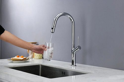 Смеситель для кухни AQUAme Cucina AQM9905CR с выдвижным изливом, с подключением к фильтру с питьевой водой, хром Смеситель для кухни AQUAme Cucina AQM9905CR с выдвижным изливом, с подключением к фильтру с питьевой водой, хром