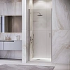 Картинка анонса товара «душевая дверь rgw leipzig le-003 700 мм easy clean хром 351200307-11»