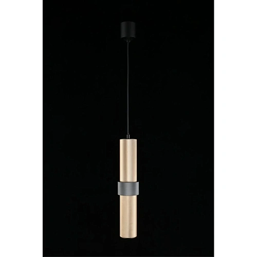 Светильник подвесной Aployt Beasia APL.614.16.01 Светильник подвесной Aployt Beasia APL.614.16.01