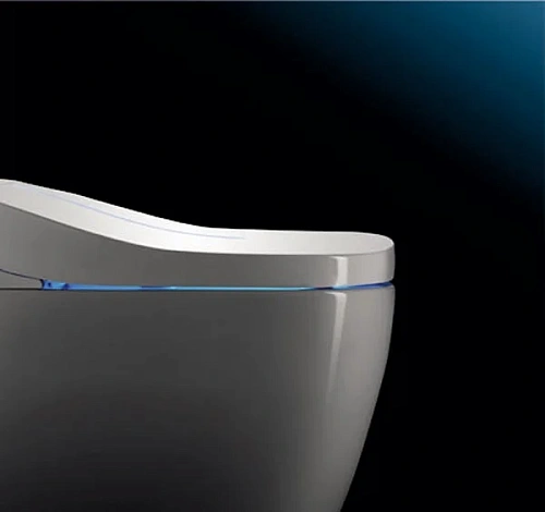 Унитаз напольный Orans Premium IT-806JD 806JD00 Унитаз напольный Orans Premium IT-806JD 806JD00