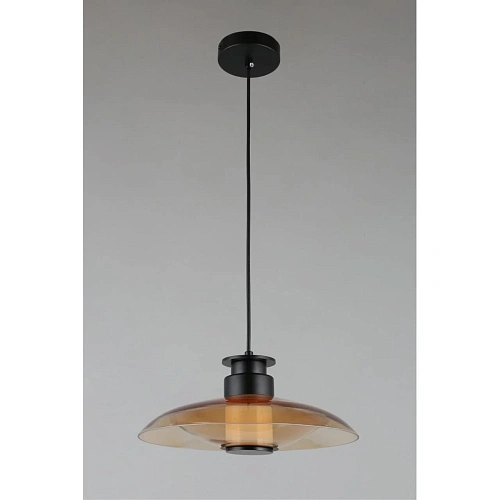 Светильник подвесной Aployt Stefa APL.648.16.10 Светильник подвесной Aployt Stefa APL.648.16.10