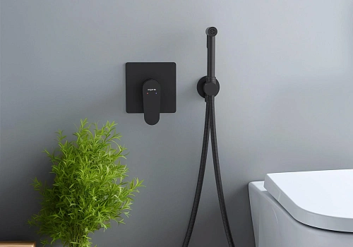 Гигиенический душ Aquatek ОБЕРОН AQ1219MB Черный матовый, встраиваемый Гигиенический душ Aquatek ОБЕРОН AQ1219MB Черный матовый, встраиваемый