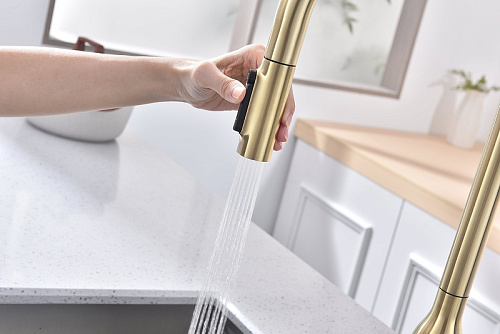 Смеситель для кухни Paulmark UNIVERSAL светлое золото Un213880-LG Смеситель для кухни Paulmark UNIVERSAL светлое золото Un213880-LG