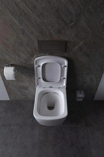 Комплект унитаза Allen Brau Liberty 4.33004.20/8.9466.0.000.000.1 (00316507) с инсталляцией, белый глянец Комплект унитаза Allen Brau Liberty 4.33004.20/8.9466.0.000.000.1 (00316507) с инсталляцией, белый глянец