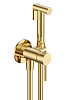 Картинка анонса товара «гигиенический душ aquame aqm6217gg siena glossy gold»
