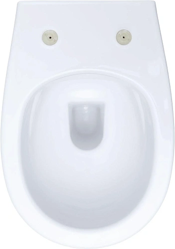 Комплект унитаза Allen Brau Fantasy 4.11004.20/8.9466.0.000.000.1 (00316504) с инсталляцией, белый глянец Комплект унитаза Allen Brau Fantasy 4.11004.20/8.9466.0.000.000.1 (00316504) с инсталляцией, белый глянец