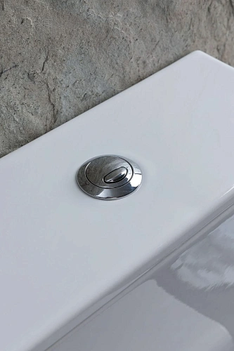 Чаша напольного унитаза Allen Brau Priority 4.31003.20 с крышкой, белый Чаша напольного унитаза Allen Brau Priority 4.31003.20 с крышкой, белый