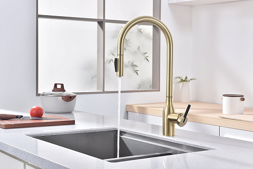 Смеситель для кухни Paulmark UNIVERSAL светлое золото Un213880-LG Смеситель для кухни Paulmark UNIVERSAL светлое золото Un213880-LG