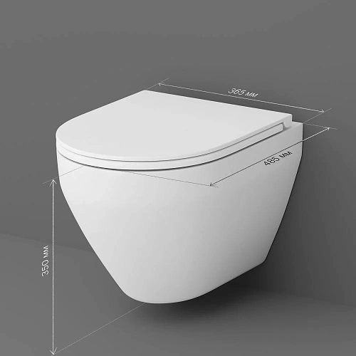 Унитаз подвесной AM.PM Spirit V2.0 C701700SC FlashClean с сиденьем микролифт Унитаз подвесной AM.PM Spirit V2.0 C701700SC FlashClean с сиденьем микролифт