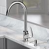 Картинка анонса товара «смеситель для кухни am.pm like f8007d00 с диспенсером, хром»