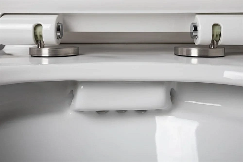 Чаша напольного унитаза Aquanet Rimless Logic-C CL-12339 с сиденьем Чаша напольного унитаза Aquanet Rimless Logic-C CL-12339 с сиденьем