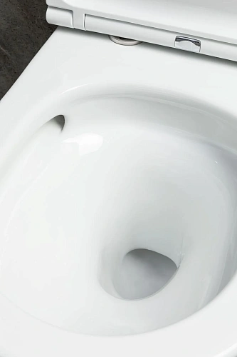 Унитаз подвесной Allen Brau Priority Tornado 4.31008.20 с крышкой, белый глянец Унитаз подвесной Allen Brau Priority Tornado 4.31008.20 с крышкой, белый глянец