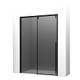 Душевая дверь Ambassador Intense 110022205IBB (1600x2000) Душевая дверь Ambassador Intense 110022205IBB (1600x2000)