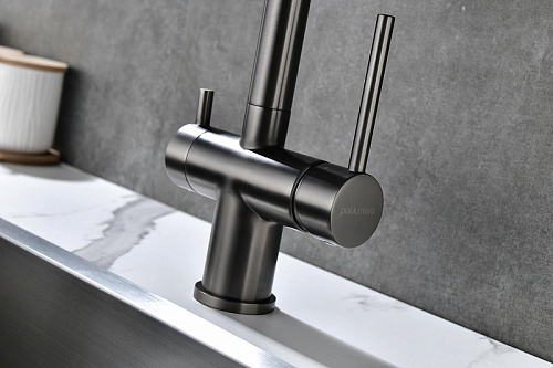 Смеситель для кухни Paulmark SERPENTINE вороненая сталь Se213222-GM Смеситель для кухни Paulmark SERPENTINE вороненая сталь Se213222-GM