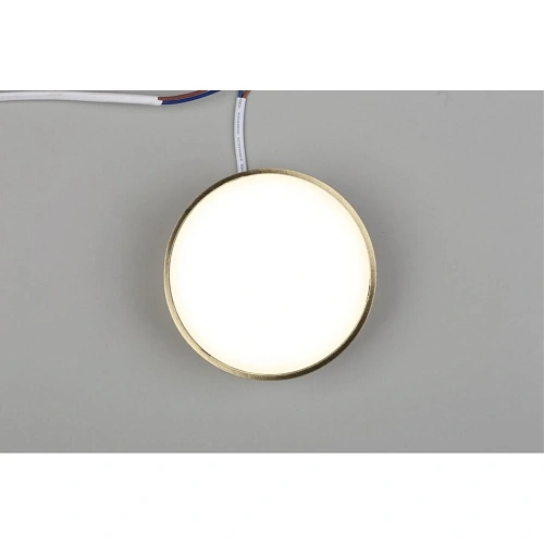 Светильник настенно-потолочный Aployt Evon APL.0114.29.12 Светильник настенно-потолочный Aployt Evon APL.0114.29.12