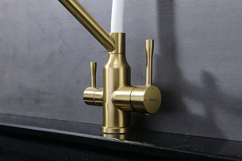 Смеситель для кухни Raglo R81.62.03 с гибким изливом с подключением к фильтру, золотой сатин Смеситель для кухни Raglo R81.62.03 с гибким изливом с подключением к фильтру, золотой сатин