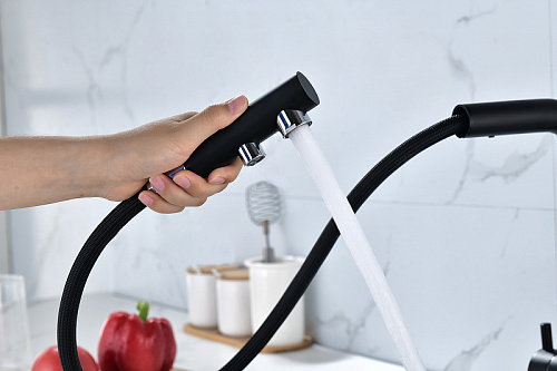 Смеситель для кухни Paulmark SERPENTINE антрацит Se213222-AN Смеситель для кухни Paulmark SERPENTINE антрацит Se213222-AN