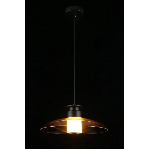 Светильник подвесной Aployt Stefa APL.648.16.10 Светильник подвесной Aployt Stefa APL.648.16.10