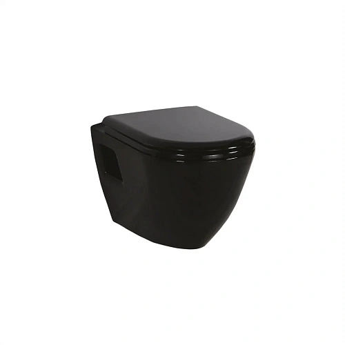 Унитаз подвесной Creavit TERRA TP325-11SI00E-0000 Унитаз подвесной Creavit TERRA TP325-11SI00E-0000