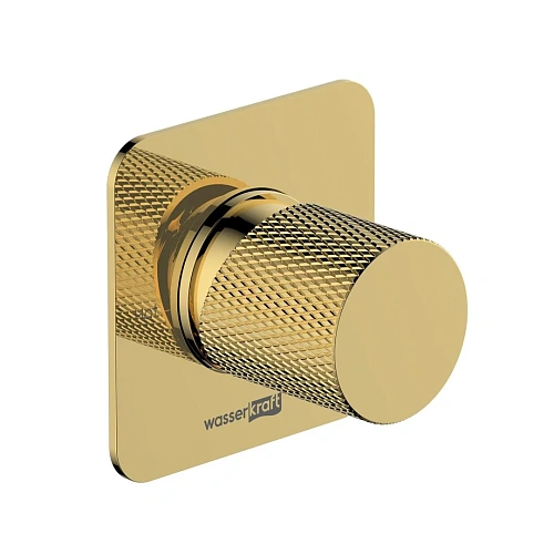 Смеситель для душа WasserKRAFT Ems 7651 золото Смеситель для душа WasserKRAFT Ems 7651 золото