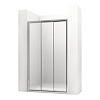 Душевая дверь Ambassador Forsa 17021104NX (1300x1950) Душевая дверь Ambassador Forsa 17021104NX (1300x1950)