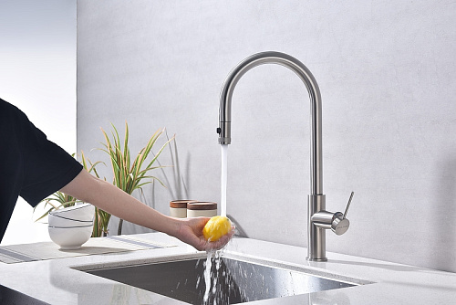 Смеситель для кухни Paulmark Galant брашированная сталь Ga213077-BS Смеситель для кухни Paulmark Galant брашированная сталь Ga213077-BS