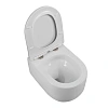 Унитаз подвесной BelBagno SOFT-TOR BB084CH-TOR/BB051SC безободковый с сиденьем Унитаз подвесной BelBagno SOFT-TOR BB084CH-TOR/BB051SC безободковый с сиденьем