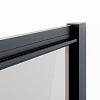 Душевая дверь Ambassador Forsa 17021219AB (1300x2000) Душевая дверь Ambassador Forsa 17021219AB (1300x2000)