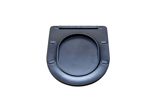 Крышка-сиденье Aquatek ЕВРОПА AQ0004-MB черный матовый Крышка-сиденье Aquatek ЕВРОПА AQ0004-MB черный матовый