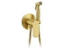 Гигиенический душ Raglo R10.52.03 встраиваемый, сатин золотой