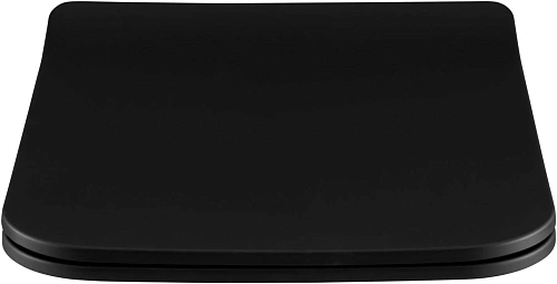 Крышка-сиденье Allen Brau Liberty 4.33008.31 черный матовый Крышка-сиденье Allen Brau Liberty 4.33008.31 черный матовый