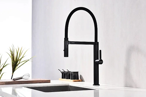 Смеситель для кухни Paulmark LEADER антрацит Le214101-AN Смеситель для кухни Paulmark LEADER антрацит Le214101-AN