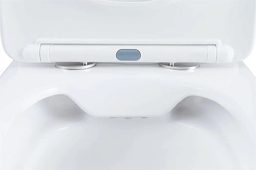 Чаша напольного унитаза Aquanet Fine Rimless FINE-C Soft Close FINE-C с сиденьем Чаша напольного унитаза Aquanet Fine Rimless FINE-C Soft Close FINE-C с сиденьем