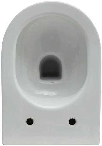 Комплект унитаза Allen Brau Reality 4.32006.20/8.9466.0.000.000.1 (00316510) с инсталляцией, белый глянец Комплект унитаза Allen Brau Reality 4.32006.20/8.9466.0.000.000.1 (00316510) с инсталляцией, белый глянец