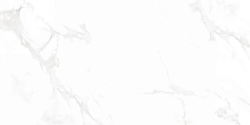 Керамогранит Neodom Supreme Venus Bianco Polished 60x120 N12003 Керамогранит Neodom Supreme Venus Bianco Polished 60x120 N12003